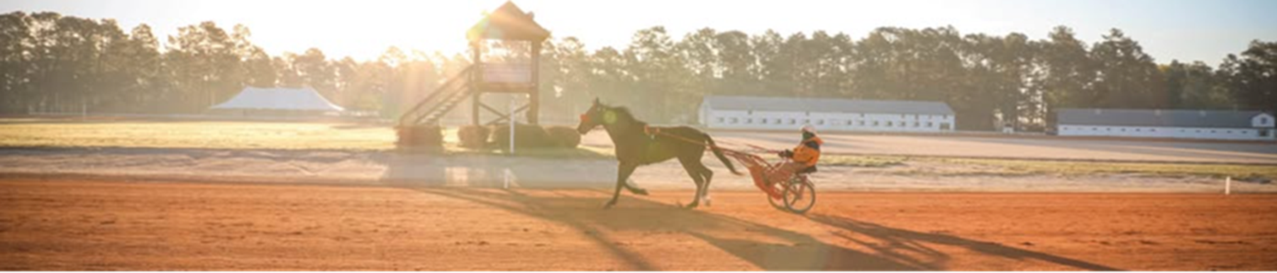 Harness Track